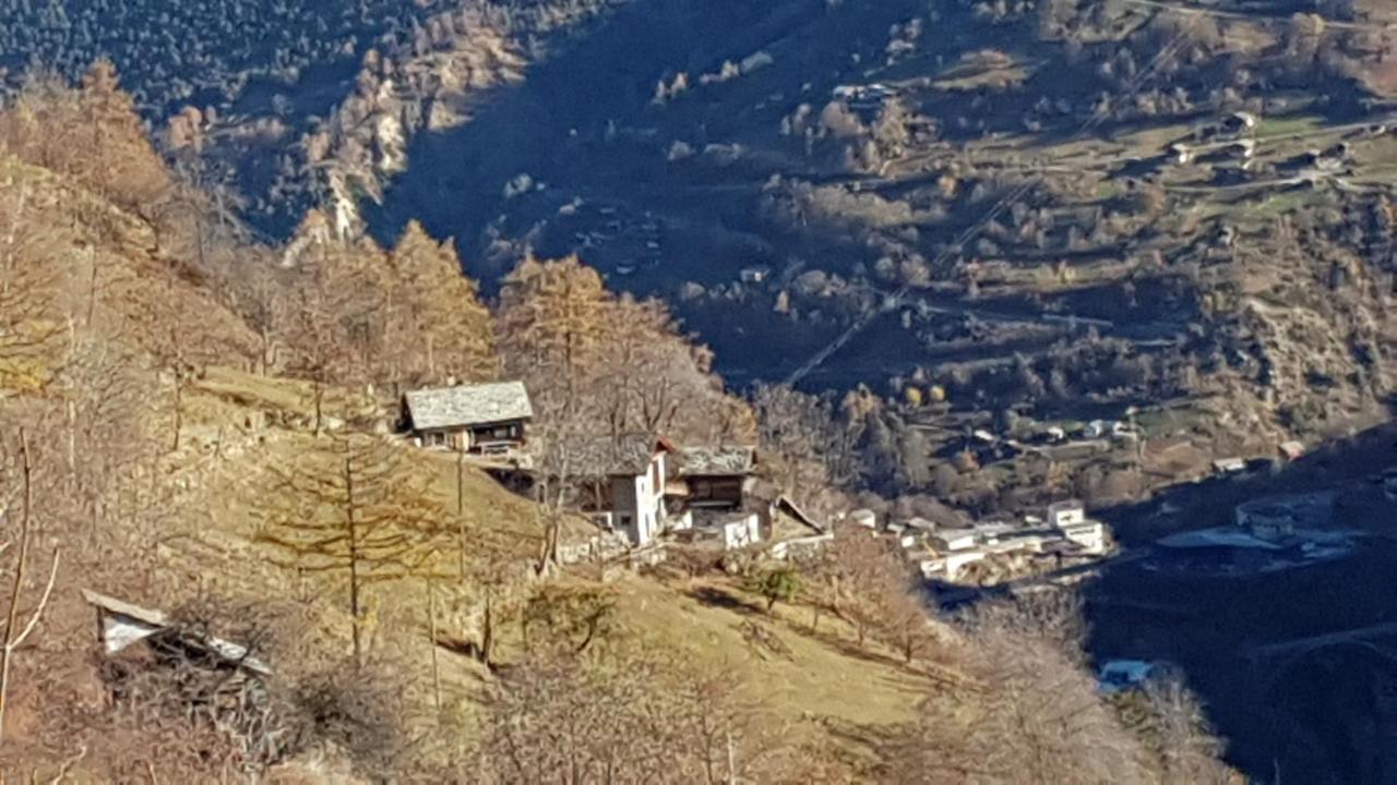 Törbel Chalet La Paz With Hotpot And Sauna 빌라 외부 사진