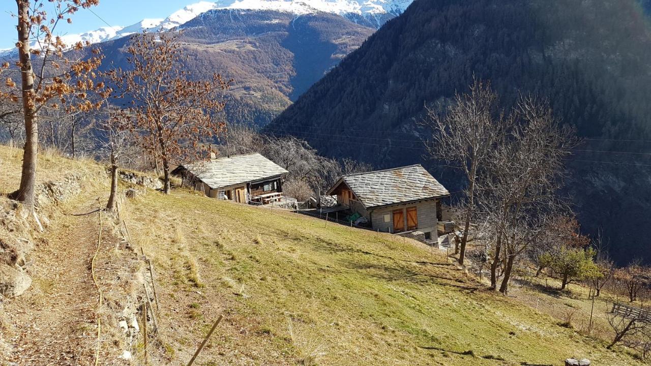Törbel Chalet La Paz With Hotpot And Sauna 빌라 외부 사진