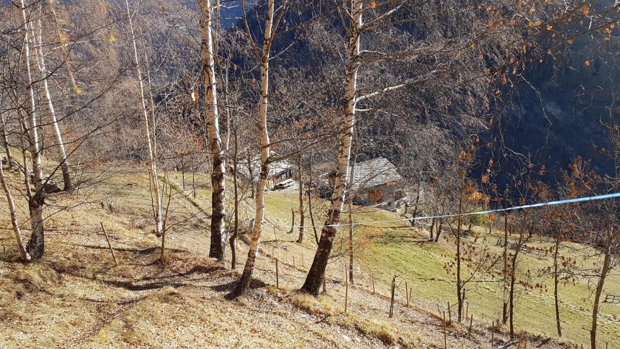 Törbel Chalet La Paz With Hotpot And Sauna 빌라 외부 사진