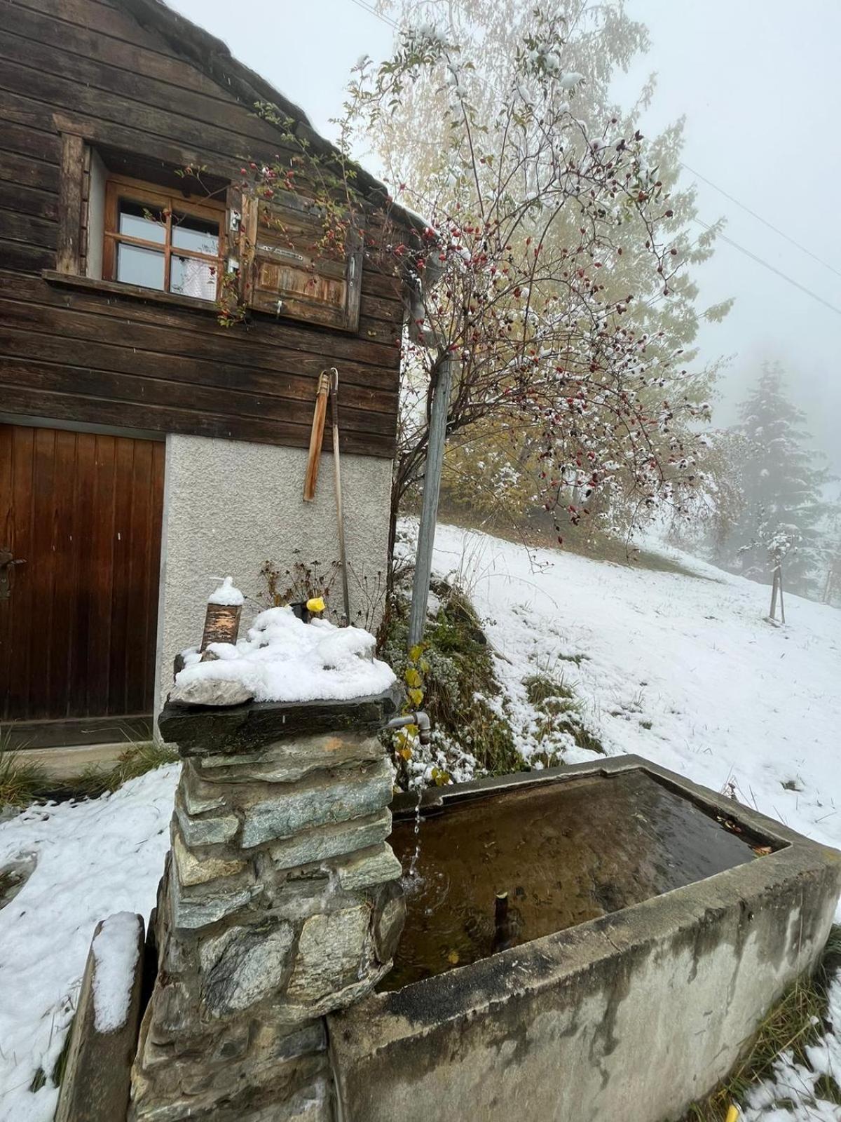 Törbel Chalet La Paz With Hotpot And Sauna 빌라 외부 사진