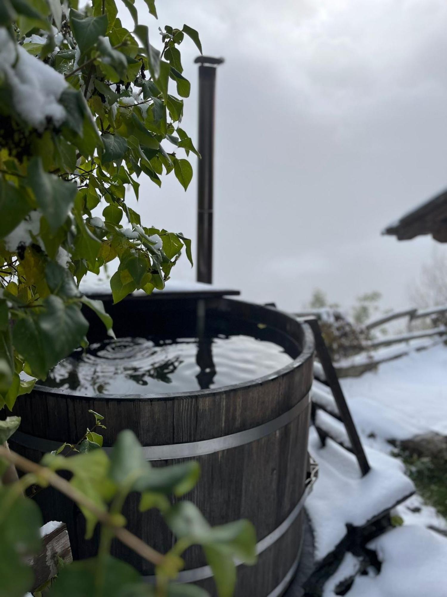 Törbel Chalet La Paz With Hotpot And Sauna 빌라 외부 사진
