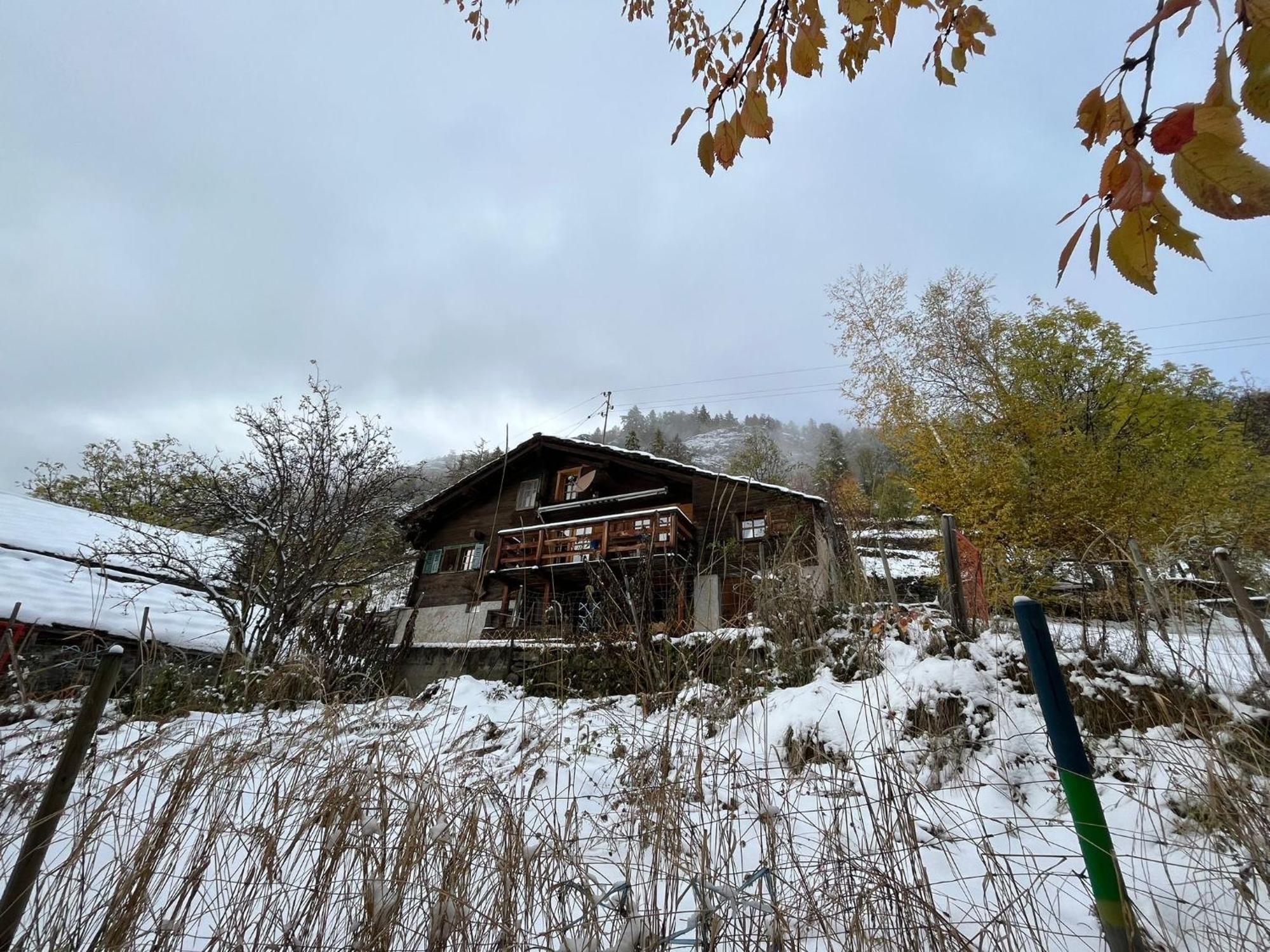 Törbel Chalet La Paz With Hotpot And Sauna 빌라 외부 사진