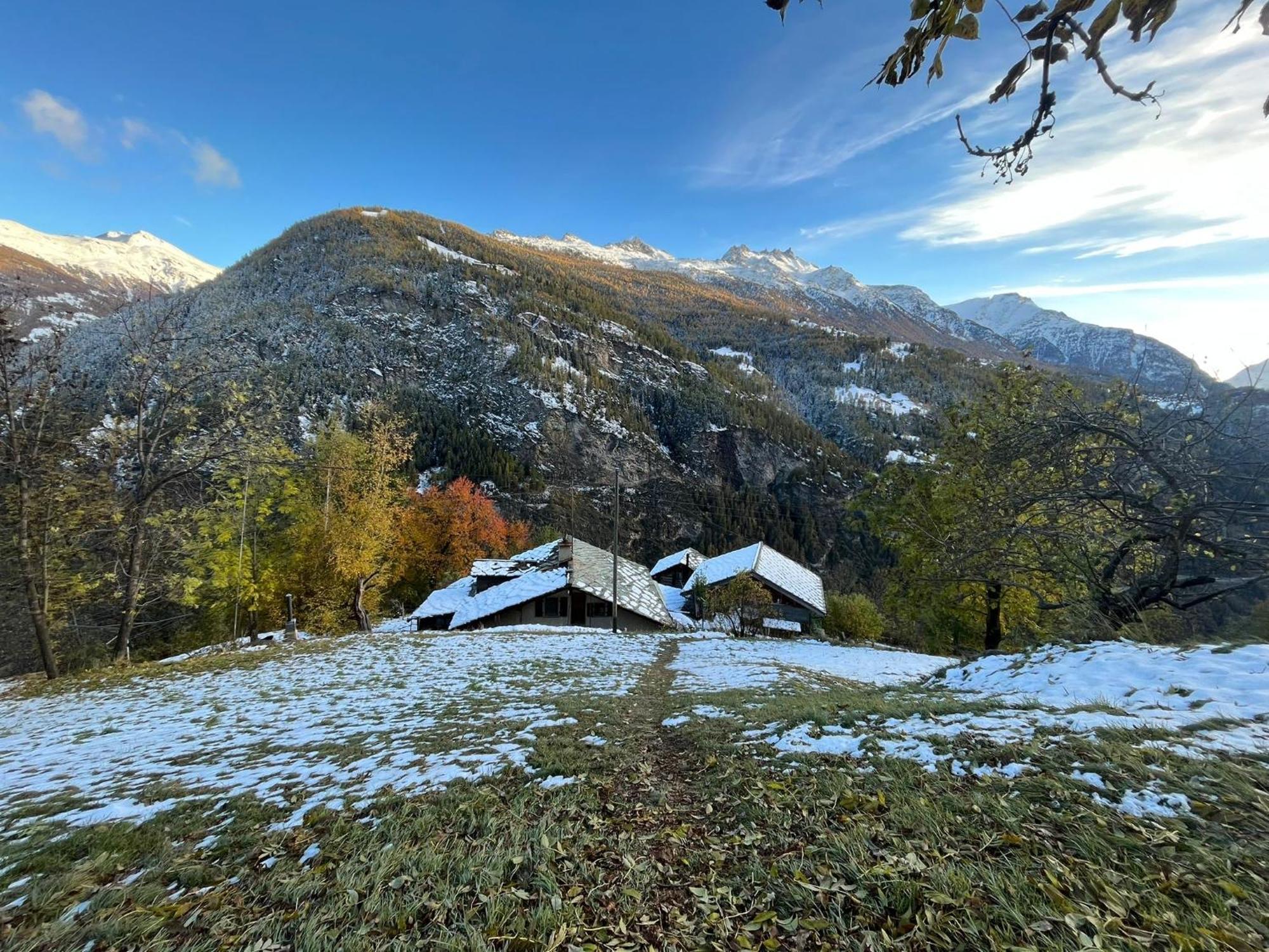 Törbel Chalet La Paz With Hotpot And Sauna 빌라 외부 사진